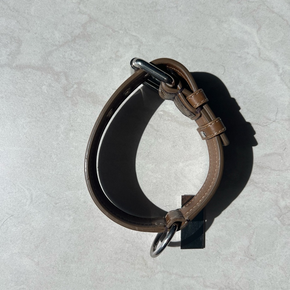 Fendi Dog Collar